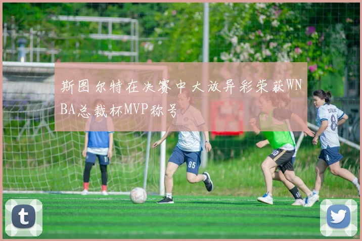 斯图尔特在决赛中大放异彩荣获WNBA总裁杯MVP称号